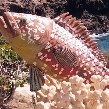 Casa Candelaria アリナガ エクステリア 写真